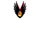 Victory Sportdesign
